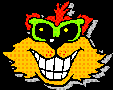 cool cat